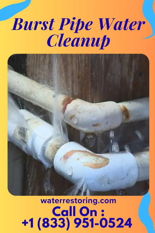 Burst Pipe Water Cleanup in New Hope, OR