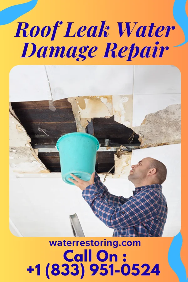 Roof Leak Water Damage Repair in New Hope, OR