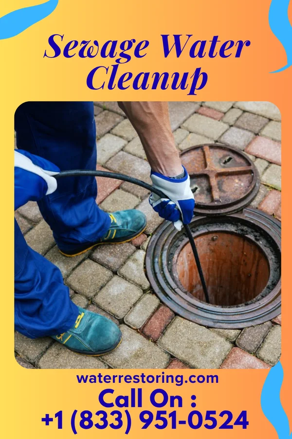 Sewage Water Cleanup in New Hope, OR